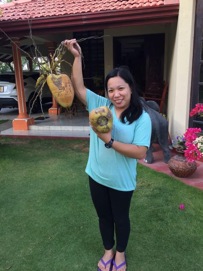 Sugandi Inn Kochchikade ภายนอก รูปภาพ